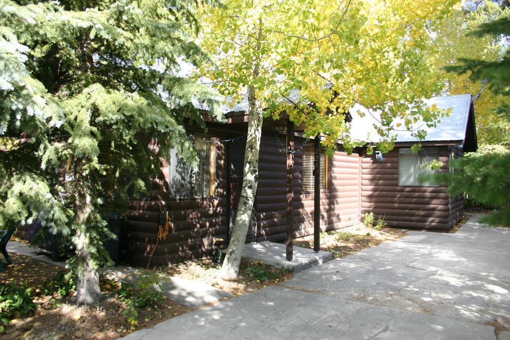Yellowstone Wildlife Cabins West Yellowstone Ngoại thất bức ảnh